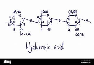 Hyaluronic Acid 101: Your Skin’s Hydration Hero