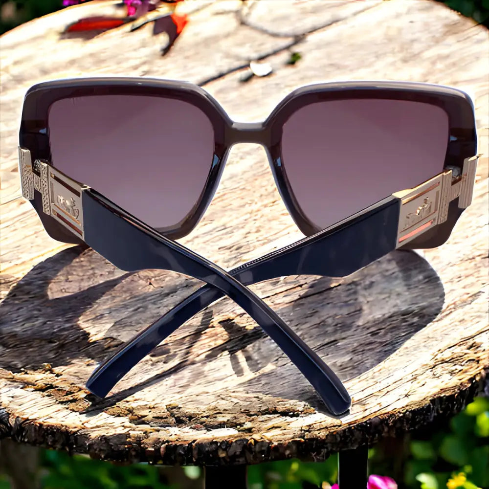 Hermes Sunglasses With Leather Case - sunglasses