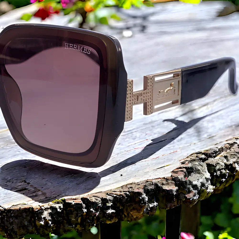 Hermes Sunglasses With Leather Case - sunglasses