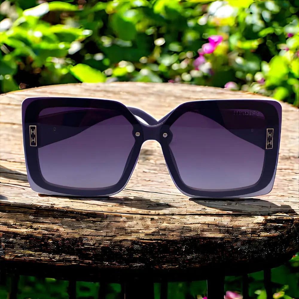 Hermes Sunglasses With Leather Case - sunglasses