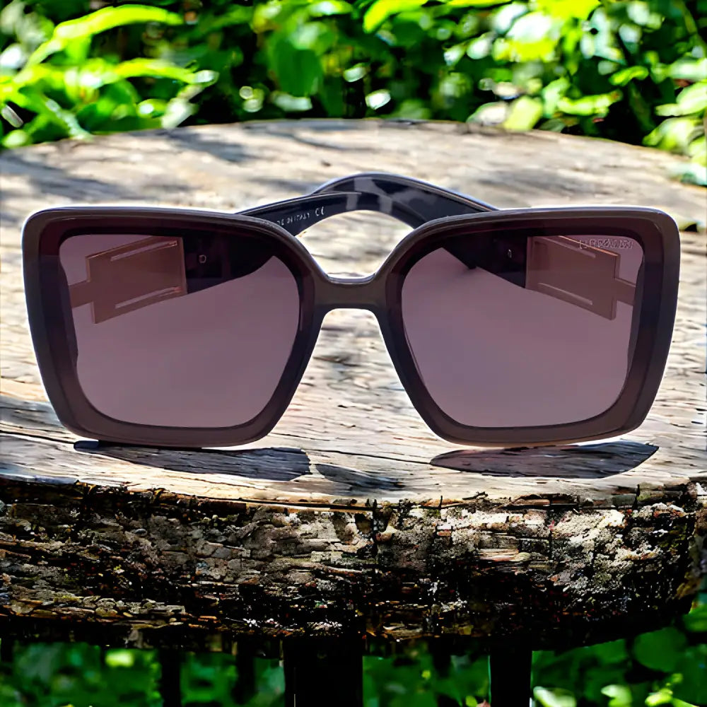 Hermes Sunglasses With Leather Case - sunglasses