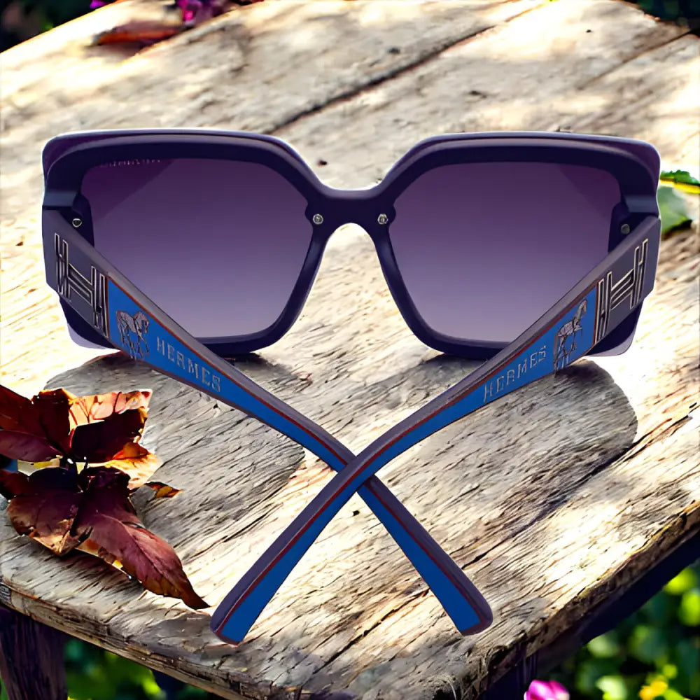 Hermes Sunglasses With Leather Case - sunglasses